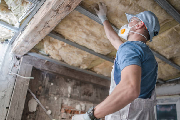 Types of Insulation We Offer in Bowmanstown, PA
